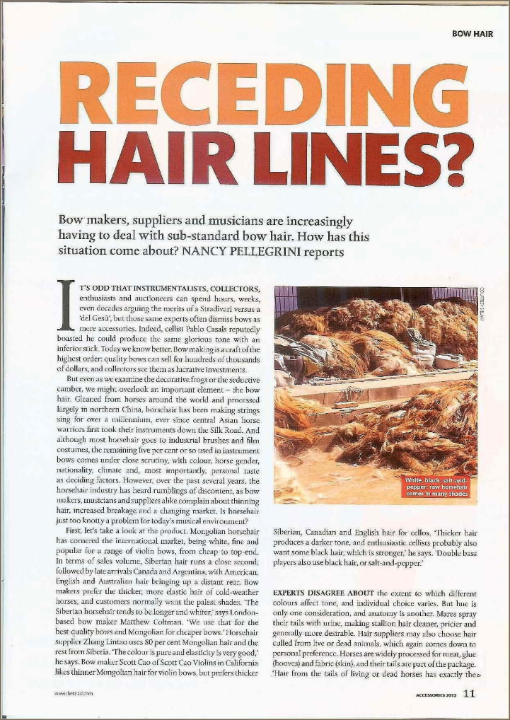 Sielam Violin Bow Hair